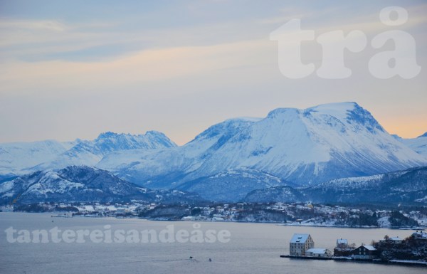 ålesund#5