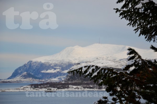 ålesund#6