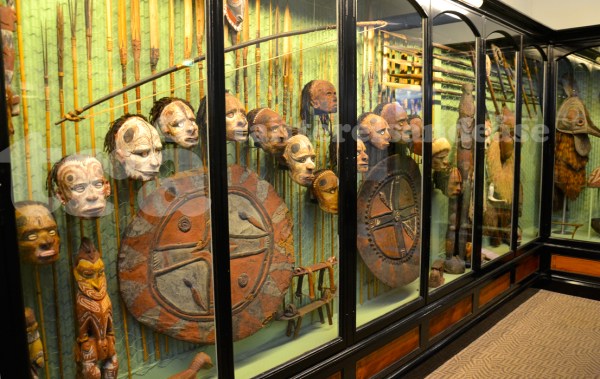 southaustralianmuseum