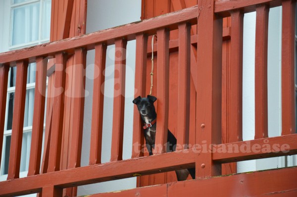 saintjeanpieddeport#2