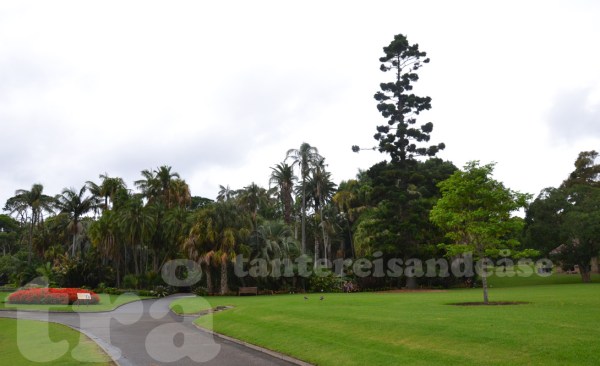 royalbotanicalgarden#1