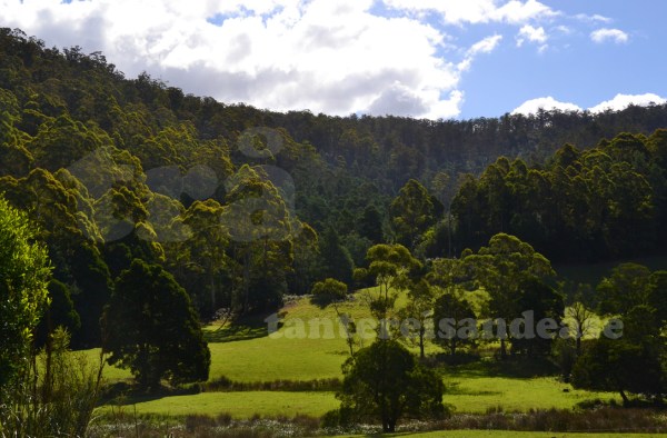 tasmania#5