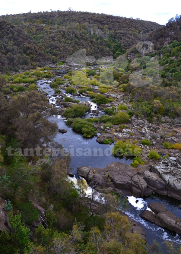 tasmania#6