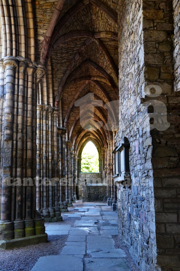 holyroodabbey#1