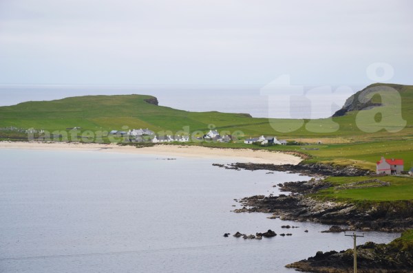 shetland#1