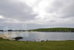 shetland#10