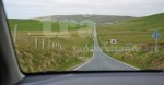 shetland#11