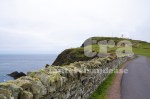shetland#4