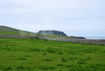 shetland#7
