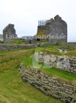 shetland#8