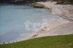 shetland#9